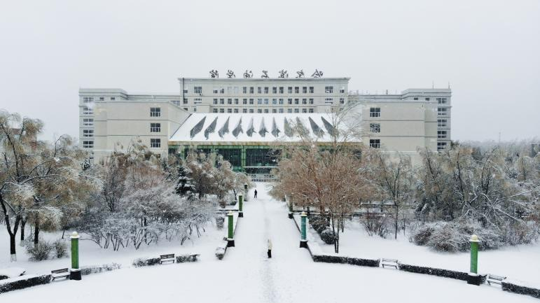 以雪为令践初心 师生齐力展风采——哈尔滨石油学院开展集中除雪工作
