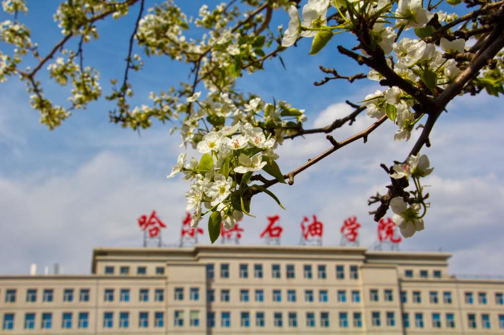 哈尔滨石油学院2023年专升本招生简章